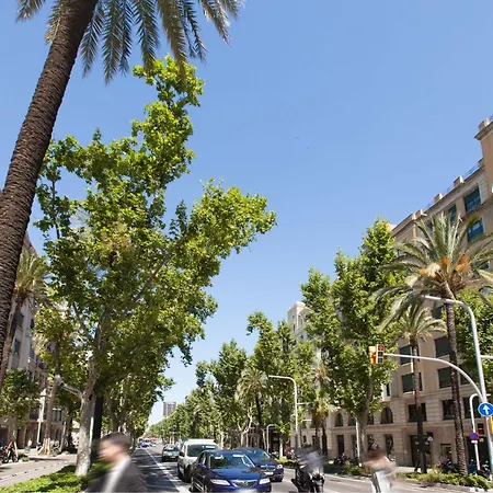 Rent Top Diagonal-aribau Barcelona